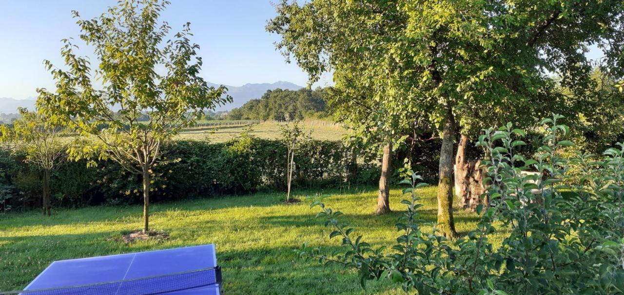 Gite Les Petits Chemins Ledeuix Esterno foto