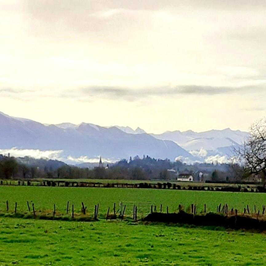 Gite Les Petits Chemins Ledeuix Esterno foto